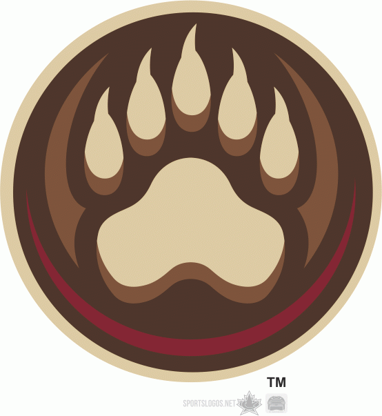 Hershey Bears 2012 13-Pres Secondary Logo v2 iron on transfers for T-shirts